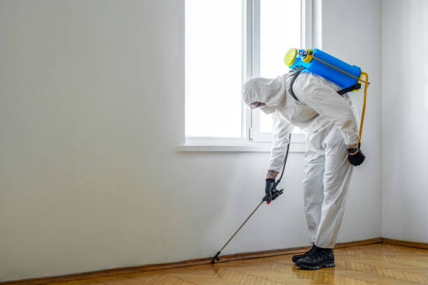 Best Exterminator Services  in Delshire, OH