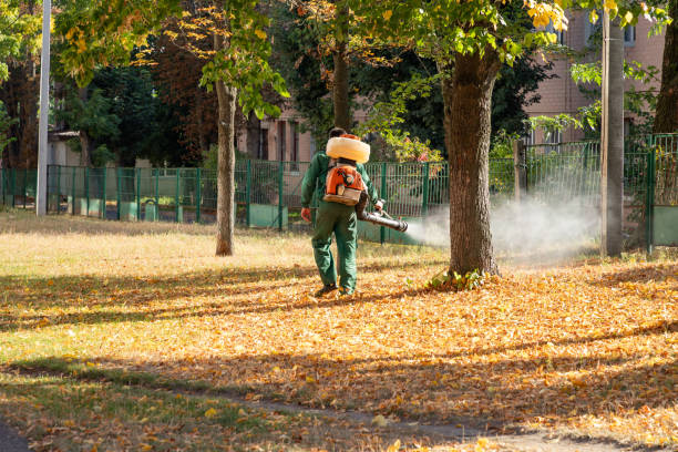 Best Affordable Pest Control Services  in Delshire, OH