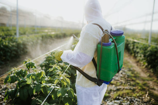 Best Mosquito Control Services  in Delshire, OH